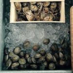 Oysters and Clams chilling on ice - Ready to Shuck!