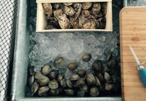 Oysters and Clams chilling on ice - Ready to Shuck!