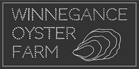 winnegance oyster farm